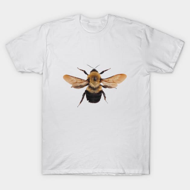 Abeja T-Shirt by uchix